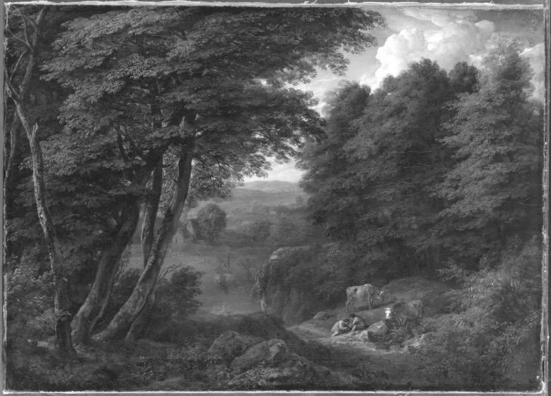 Terreno boschivo ombreggiato - Bavarian State Painting Collection
